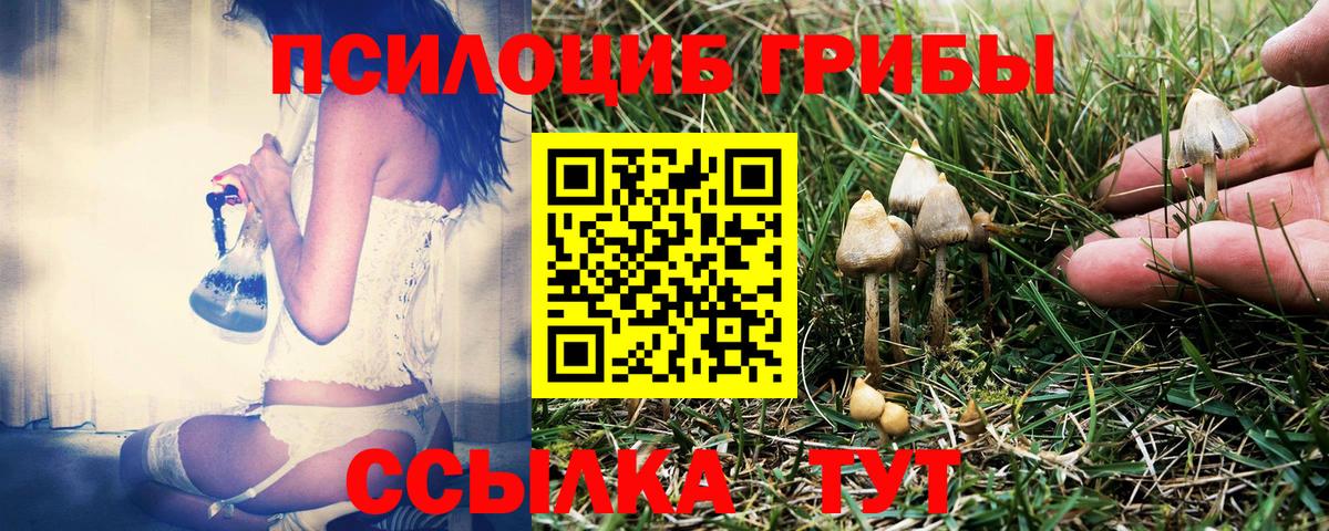 Галлюциногенные грибы MAGIC MUSHROOMS Юрга