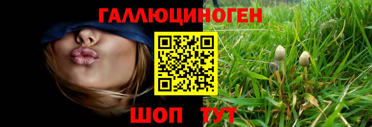 Псилоцибиновые грибы прущие грибы  Вход с VPN  купить   Юрга 